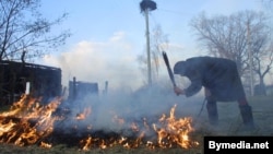 Жыхарка вёскі Наспа Буда-Кашалёўскага раёну тушыць траву каля сваёй хаты, архіўнае фота