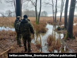 Польскія памежнікі выратавалі мігранта з Эгіпту, які трапіў у балота, лістапад 2021 г.