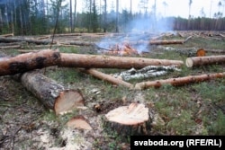 Лесьнікі зьехалі зь дзялянкі, вогнішчы пакінулі без нагляду