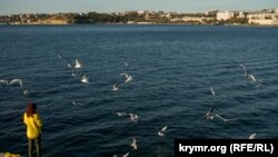 Осень в Севастополе. Прогулка по центру города (фотогалерея)