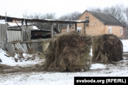 Прыватная прысядзібная гаспадарка ў Івацэвіцкім раёне