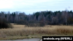 Нібы прывід у лесе воданапорная вежа. Разам з узьлётнай паласой ацалела