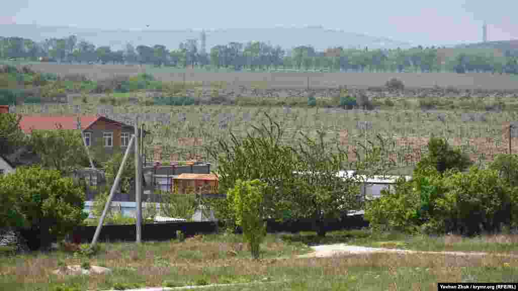 Вокруг села раскинулись виноградники агропредприятия &laquo;Золотая Балка&raquo;