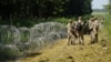 Узьвядзеньне загароды з калючага дроту на літоўска-беларускай мяжы 