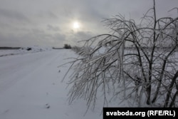 Тыповы краявід пад Асіповічамі