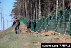 На агароджу маюцца павесьці вазоны