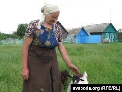 Галіна гадуе ўсё: свіней, козы, карову