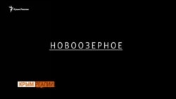 Как Россия подставила крымчан под пули (видео)